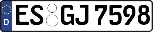 ES-GJ7598