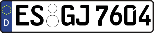 ES-GJ7604