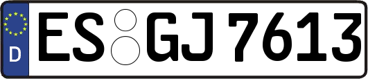 ES-GJ7613