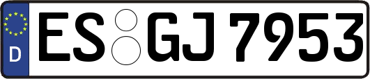 ES-GJ7953