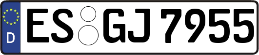 ES-GJ7955