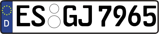 ES-GJ7965