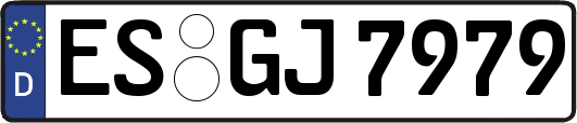 ES-GJ7979