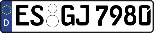 ES-GJ7980