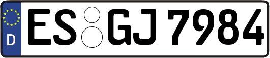 ES-GJ7984