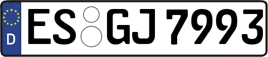 ES-GJ7993