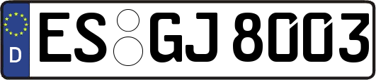 ES-GJ8003