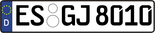 ES-GJ8010