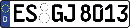 ES-GJ8013