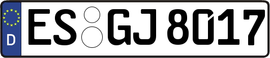 ES-GJ8017