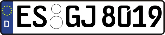 ES-GJ8019