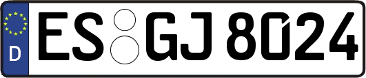 ES-GJ8024