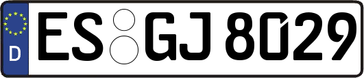 ES-GJ8029