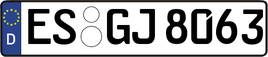 ES-GJ8063