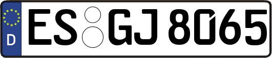 ES-GJ8065