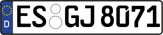 ES-GJ8071
