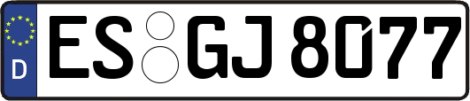 ES-GJ8077