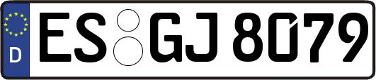 ES-GJ8079