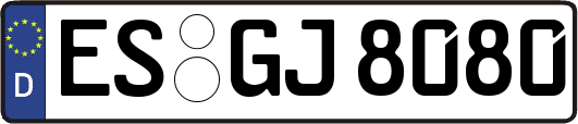 ES-GJ8080