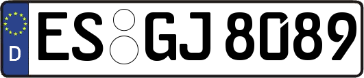 ES-GJ8089
