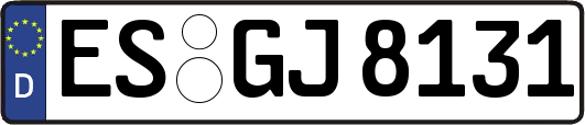 ES-GJ8131