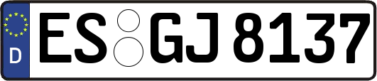 ES-GJ8137