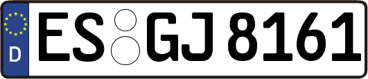 ES-GJ8161