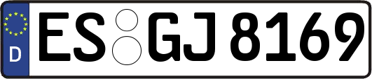 ES-GJ8169