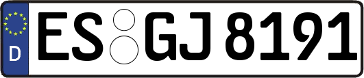 ES-GJ8191