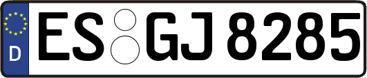 ES-GJ8285