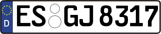 ES-GJ8317