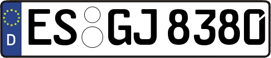 ES-GJ8380