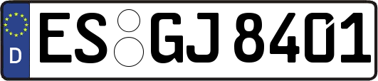 ES-GJ8401