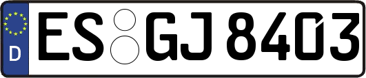 ES-GJ8403