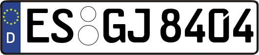 ES-GJ8404