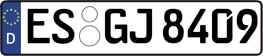 ES-GJ8409
