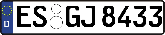 ES-GJ8433