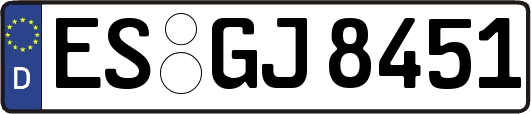 ES-GJ8451