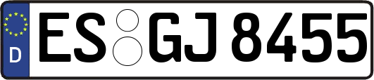ES-GJ8455