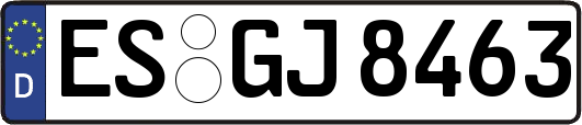 ES-GJ8463