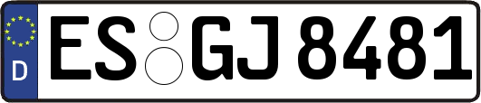 ES-GJ8481