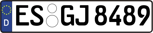 ES-GJ8489