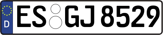 ES-GJ8529
