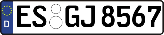 ES-GJ8567