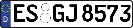 ES-GJ8573