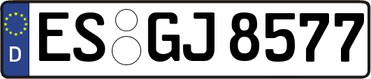 ES-GJ8577
