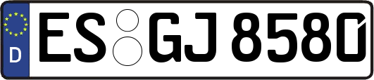 ES-GJ8580