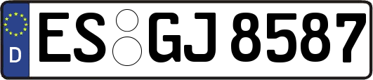 ES-GJ8587