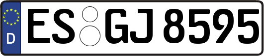 ES-GJ8595