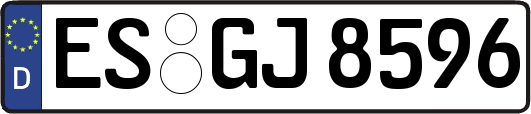 ES-GJ8596